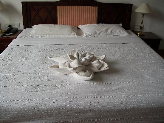 C7 Hotel
